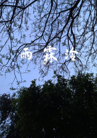 雨霖铃原文