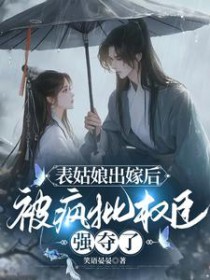 被疯批权臣强夺了类似
