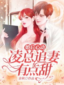 总裁的天价弃妇