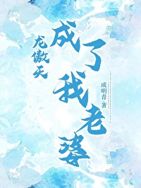 龙傲天成了我老婆 番外