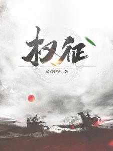 权征途