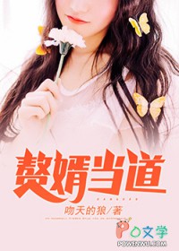 赘婿当道电视剧完整版