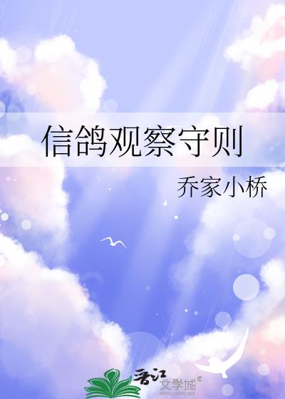 观赏鸽的训练