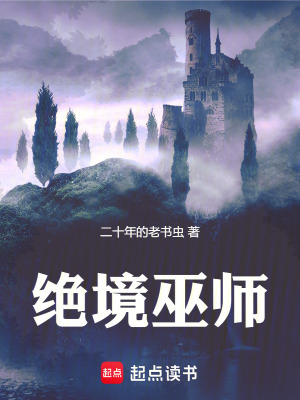 绝命巫师第二季