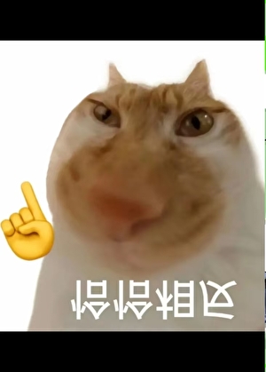 长生种顶点
