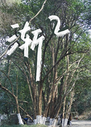 渐渐渐渐造句二年级的句子