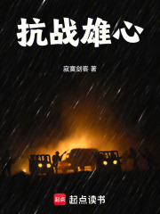 抗战雄心寂寞剑客