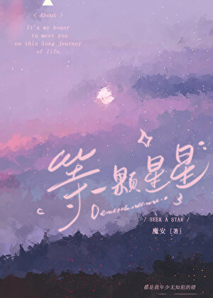 等一颗星星降临到我身边