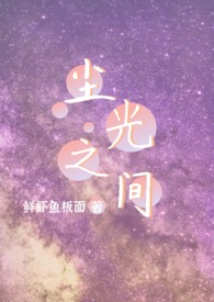 尘光完结