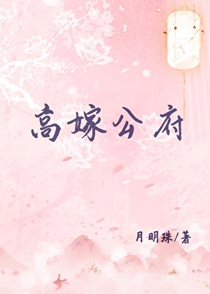 高嫁公府txt