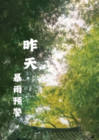 昨天暴雨预警by密码本讲的是什么