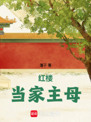 红楼当家主母阅读