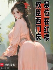 权臣西门庆篡位在红楼