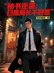 扫黑办书记