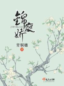 锦庭娇林霈角色分析
