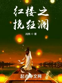 红楼之挽狂澜贾琛