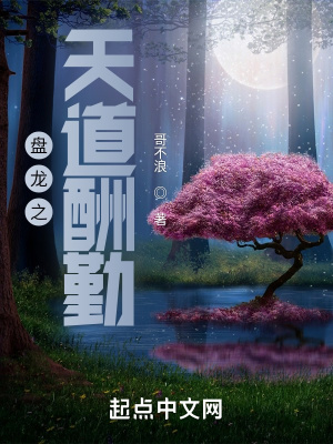 盘龙之天道酬勤系统