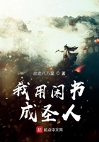 我用闲书成圣人讲的什么