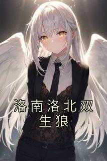 洛北洛南是哪本