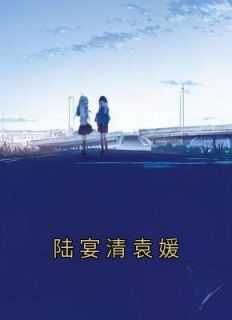 陆宴清袁媛安馨免费阅读正版