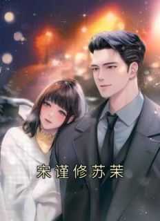 宋谨修苏茉陆之珩名字
