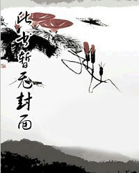 主人公叶飞扬是什么书