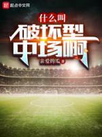 什么叫破坏型中场啊最新章节
