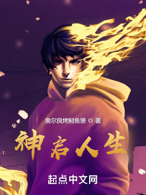 神启人生烂尾最后谁当了皇上