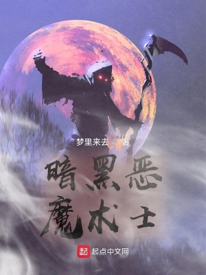 暗黑恶魔术士qishu