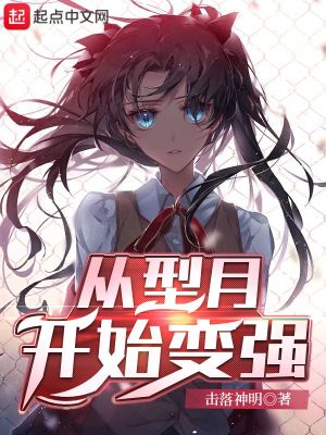 从型月开始的旅途