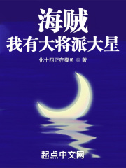 海贼之大将