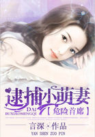 男主叫叶澜成女主安之素的