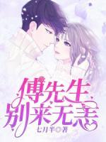 傅先生别来无恙揽月