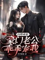 闪婚成瘾千亿老公乖乖宠我
