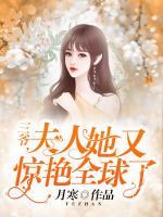 叶萌墨锦城无弹幕
