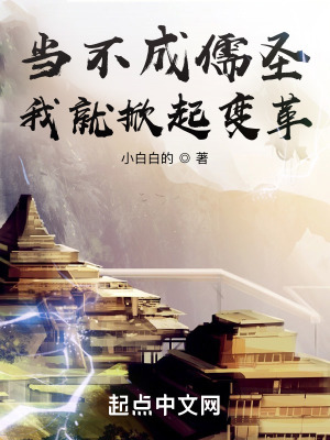 当不成儒圣我就掀起变革有女主吗