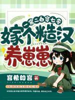 顾九宋离免费阅读