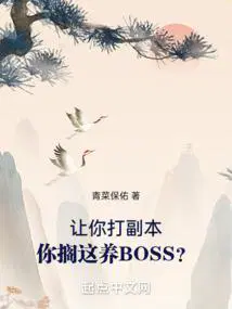你搁这养BOSS?起点