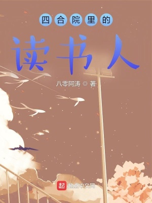 四合院里的读书人女主角是谁