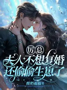 夫人不想复婚还偷偷生崽了 书许