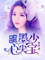 独宠娇妻墨少心尖宝