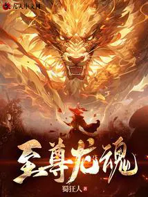 至尊龙魂叶如龙免费阅读