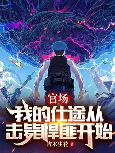 官场我的仕途从击毙悍匪开始百度百科