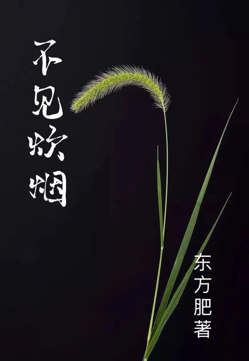 不见炊烟唱谱视频