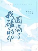 我磕的cp都be了