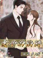 妻子的陷阱大结局全集