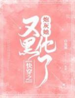 沈婉婉秦铮