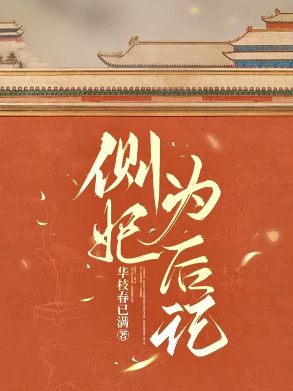 侧妃需要迎娶吗