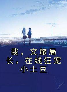 文旅局前身