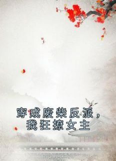 傅天凌苏幻雪是什么